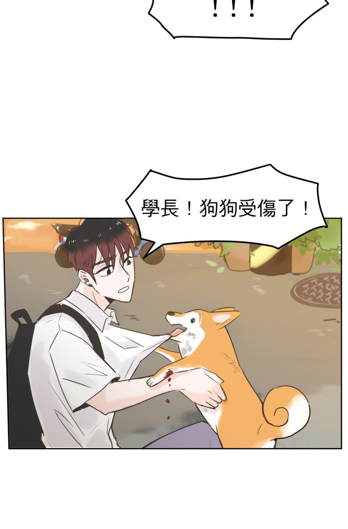 我聞到你來了 第三次 狗狗要聞 第26页